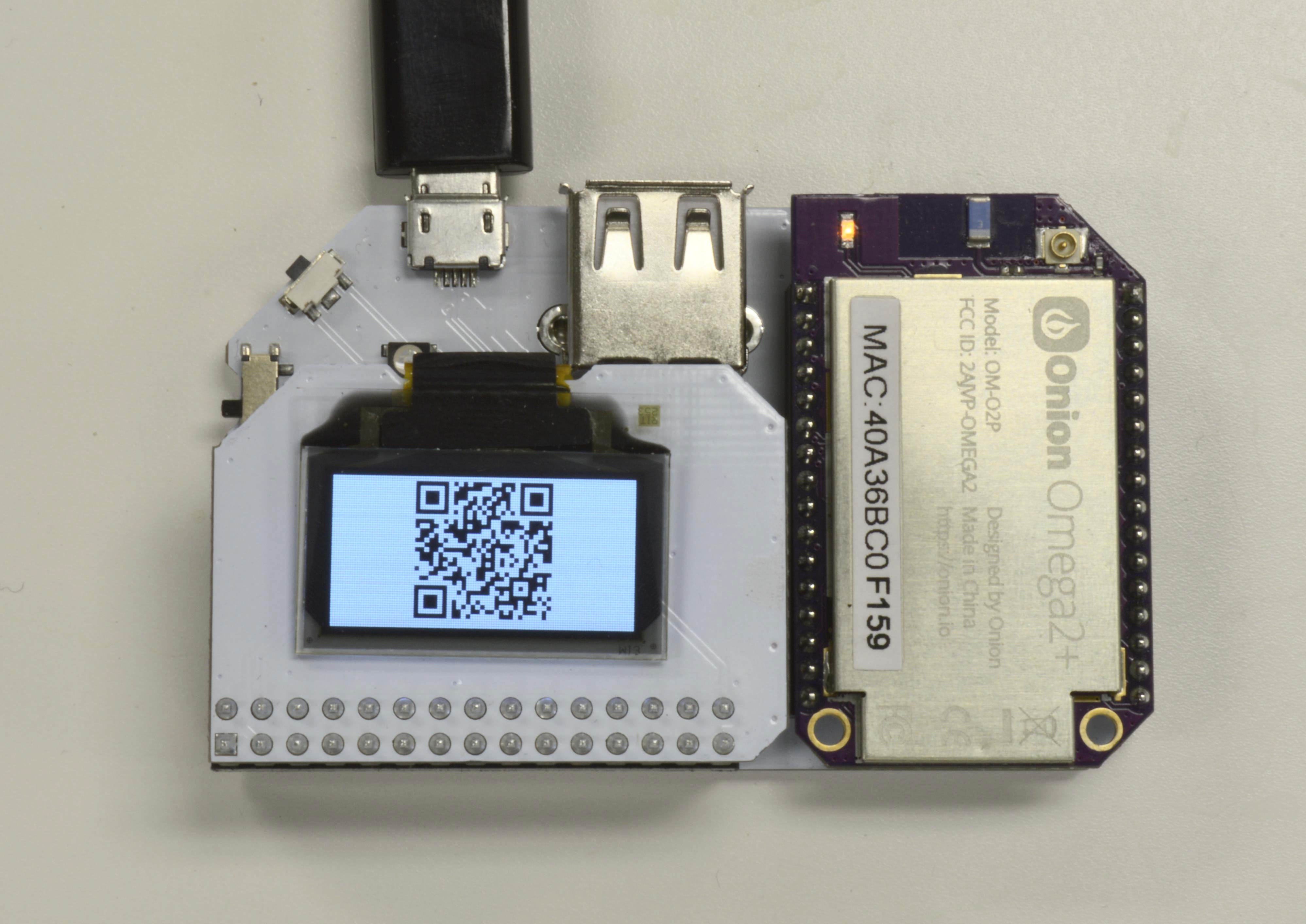 QR Code on OLED Exp